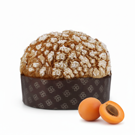 Panettone artigianale Albicocca
